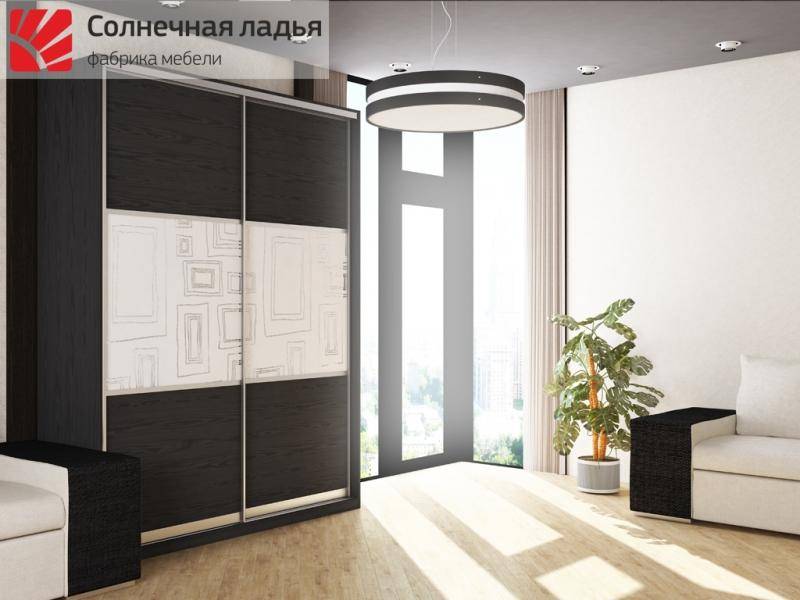 шкаф - купе для гостиной 4 в Калининграде