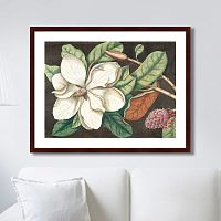 картина: beauty bloom №1, 1732г. в Калининграде