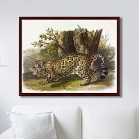 картина: jaguar, 1841г. в Калининграде