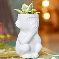 горшок для растений eco молчун в Калининграде