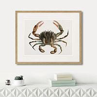 картина: marine life №2, 1725г. в Калининграде