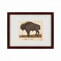 картина: bison, 1560 в Калининграде