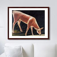 картина: roe deer drinking from a stream, 1901г. в Калининграде