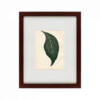 картина: the leaf, 1871 в Калининграде