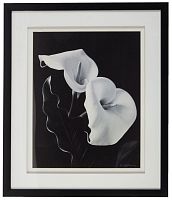 постер с паспарту в раме elegance calla в Калининграде