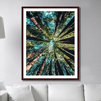 картина: deep forest в Калининграде