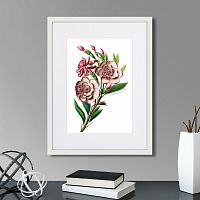 картина: caribian flora pink gardenia flower branch, 1740г. в Калининграде