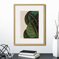 картина: exotic plants of the world №7, 1815г. в Калининграде