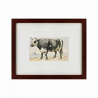 картина: a friesian bull, 1780 в Калининграде