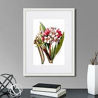 картина: caribian flora pink plumeria flower branch, 1740г. в Калининграде