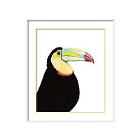постер toucan разноцветный в Калининграде