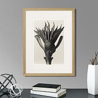 картина: botanical philosophy of forms №8, 1912г. в Калининграде