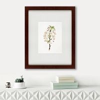 картина: pear tree flowers (pyrus calleryana), 1830 в Калининграде