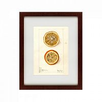 картина: watercolor collection, drawing №5, 1910 в Калининграде