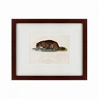картина: a panther drinking, 1830 в Калининграде