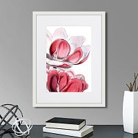 картина: himalaya plants pink-flower on white iii, 1869г. в Калининграде