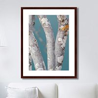 картина: trees on the galapagos islands, ecuador no1 в Калининграде