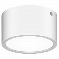 уличный светодиодный светильник lightstar zolla 380164 в Калининграде