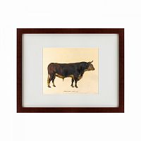 картина: the bull, 1797 в Калининграде