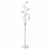 торшер lightstar cigno collo wt 751766 в Калининграде