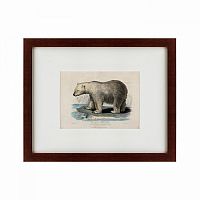 картина: white polar bear on an ice, 1830 в Калининграде