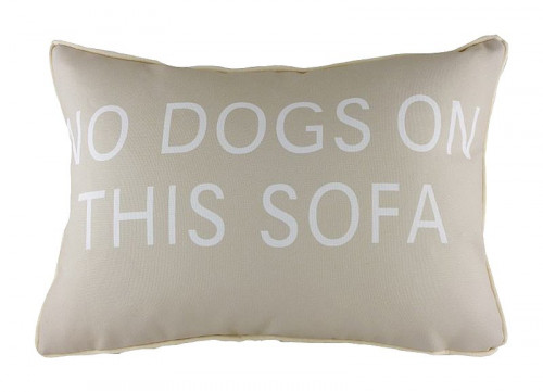 подушка с надписью no dogs on this sofa в Калининграде