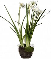 декор allium в Калининграде