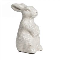 кролик декоративный rabbit в Калининграде