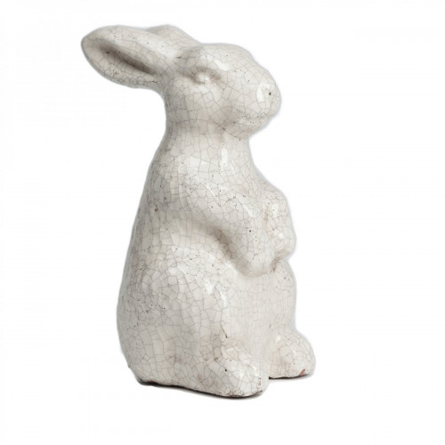 кролик декоративный rabbit в Калининграде