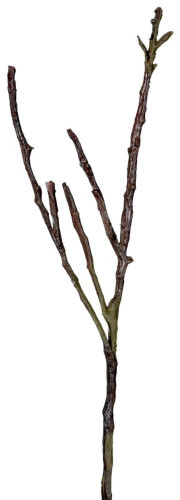 декор dry branches в Калининграде