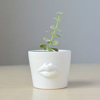 набор для выращивания eco мини-кашпо «губы» в Калининграде