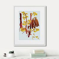 картина: himalaya plants red branch with yellow flowers, 1869г. в Калининграде