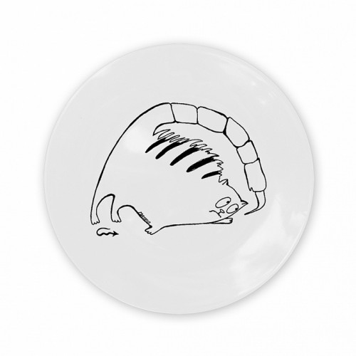 тарелка кот-скорпион в Калининграде