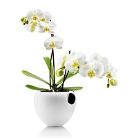 горшок для орхидеи orchid pot белый в Калининграде