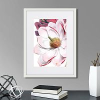 картина: himalaya plants pink-flower on white ii, 1869г. в Калининграде