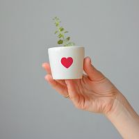 набор для выращивания eco мини-кашпо «сердце» в Калининграде