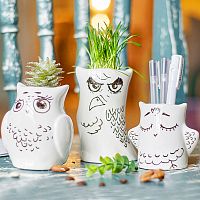 горшки для растений eco совы, 3 шт в Калининграде