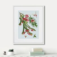 картина: himalaya plants red flower branch, 1869г. в Калининграде