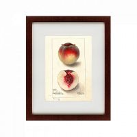 картина: watercolor collection, drawing №4, 1905 в Калининграде