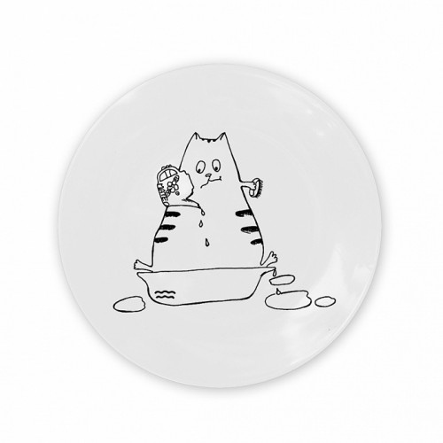 тарелка кот-водолей в Калининграде