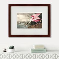 картина: roseate spoonbill, 1827 в Калининграде