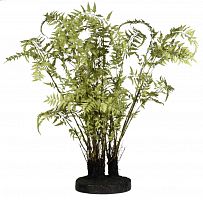 декор ferns в Калининграде