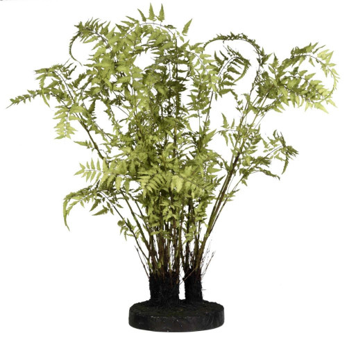 декор ferns в Калининграде