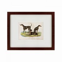 картина: three african bloodhounds, 1830 в Калининграде