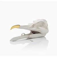 шкатулка для украшений bird skull (белый) в Калининграде