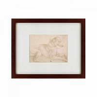 картина: a dog resting, 1520 в Калининграде