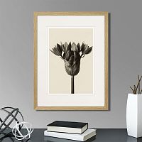 картина: botanical philosophy of forms №5, 1912г. в Калининграде