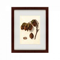картина: watercolor collection, drawing №3, 1909 в Калининграде