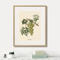 картина juicy fruit lithography №13, 1870 г., 42х52 см в Калининграде