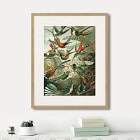 картина: art forms of nature №1, 1897г. в Калининграде